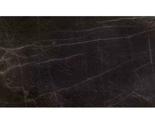BLACK BEAUTY(абсолютно-черный)