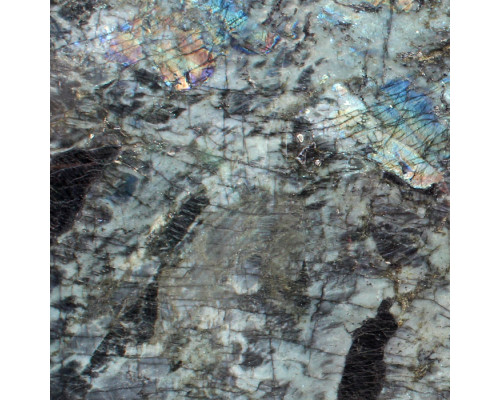 LABRADORITE BIG FLOWERS